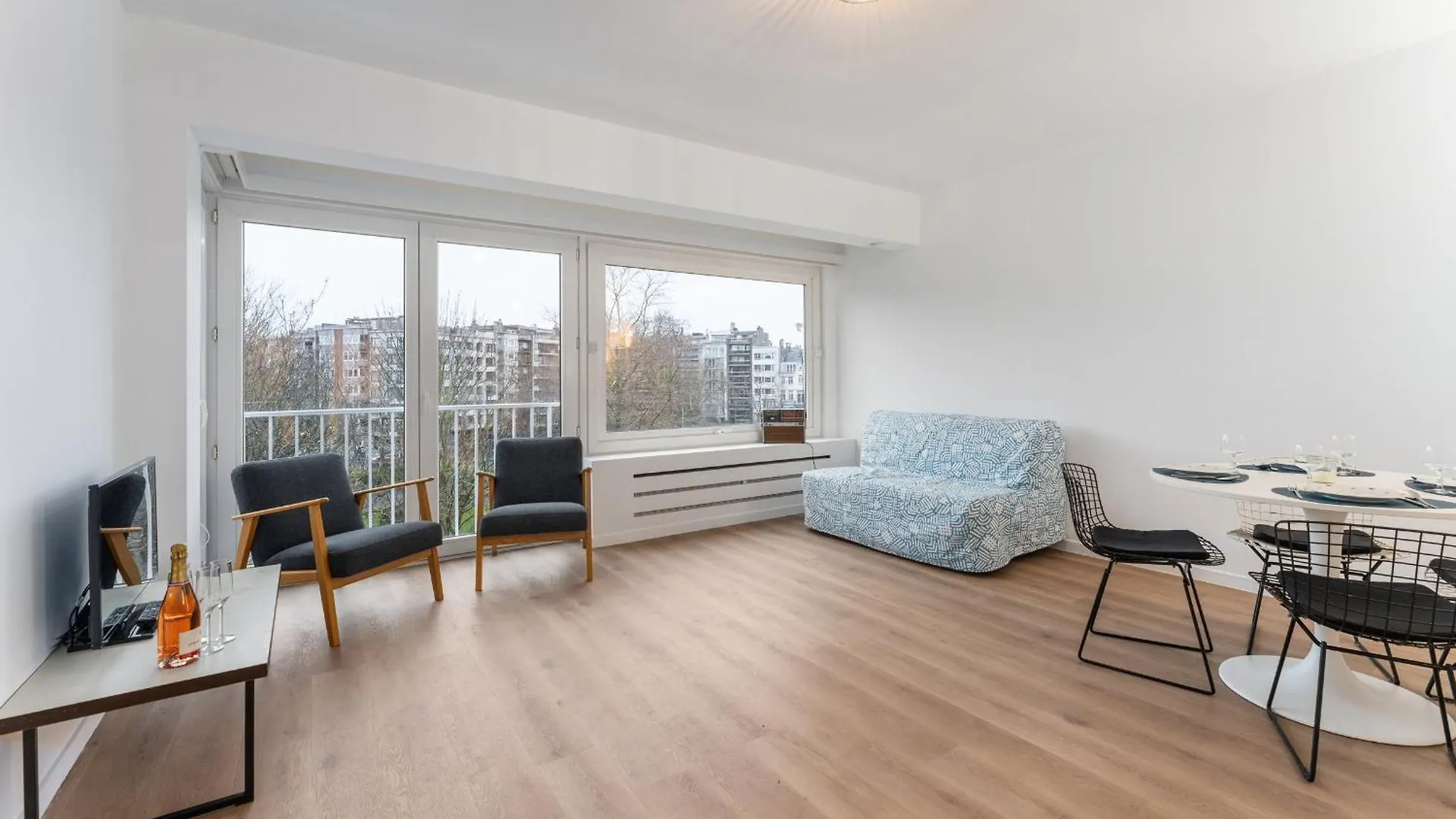 2-Bedroom Apartment With Park View Ostend