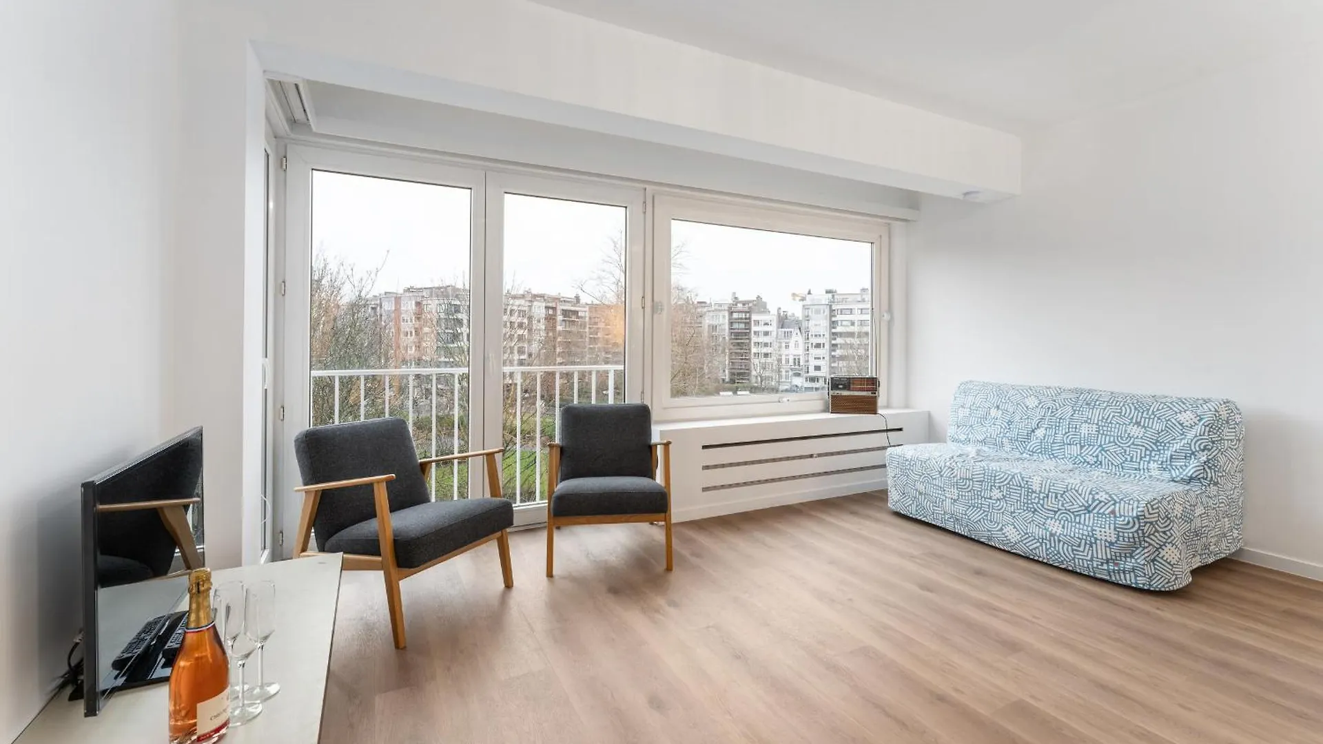 2-Bedroom Apartment With Park View Ostend